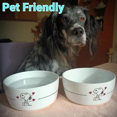 Daire Stadio Free Bike