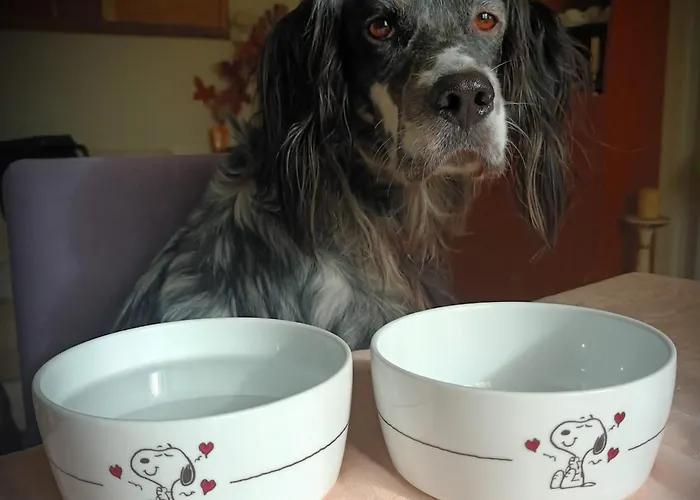 Daire Stadio Free Bike