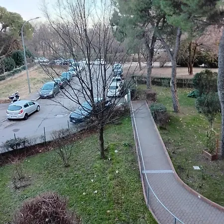 Stadio Free Bike